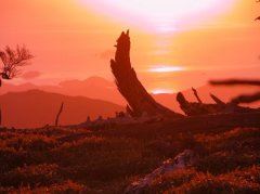 做一个正直的人