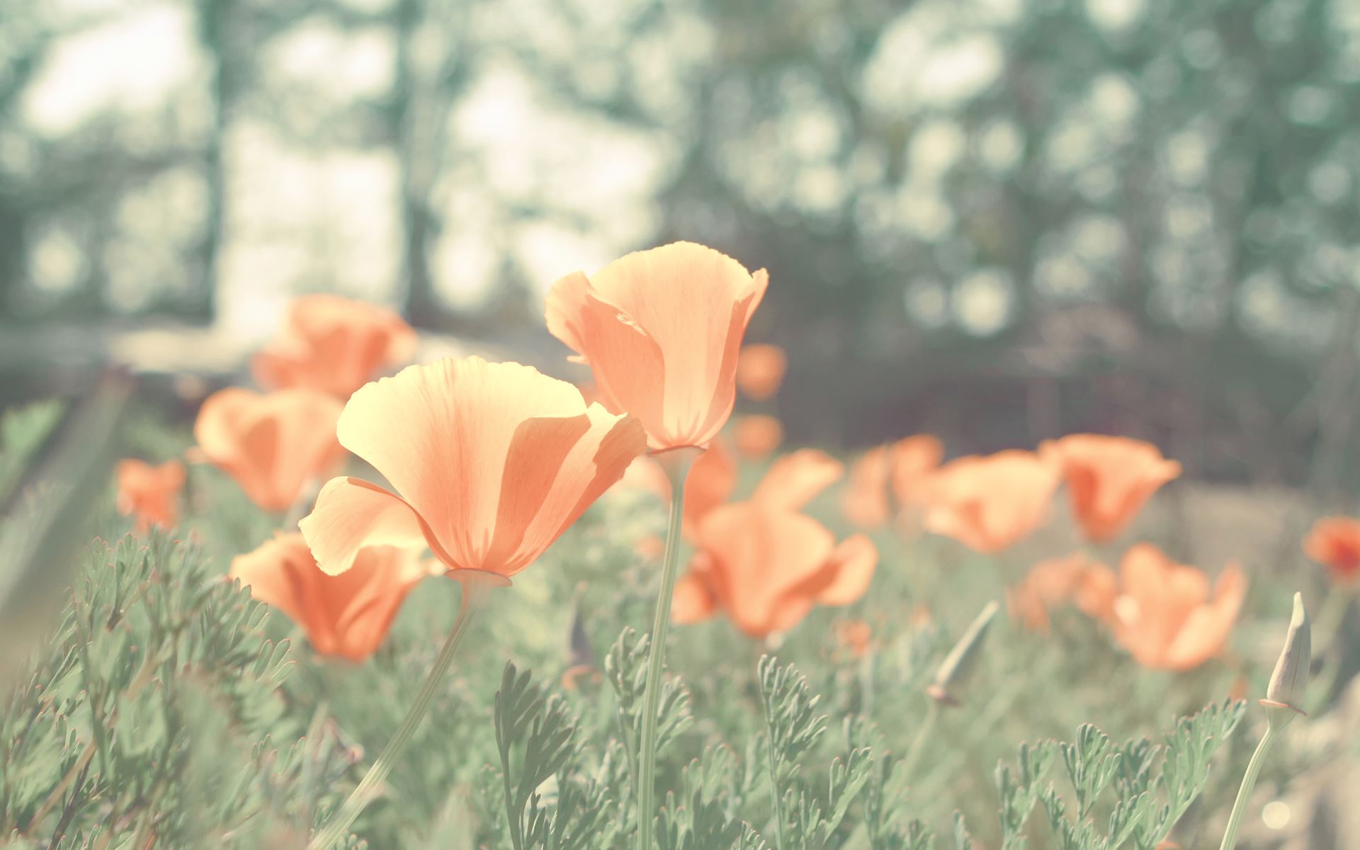 “陪伴让我很幸福”——和最爱的人一起做最简单的事情