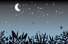 歌唱，旅途的笑靥脸庞