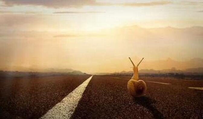 现代故事《“黑金”无价》