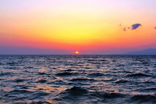 夕阳下的成长之路